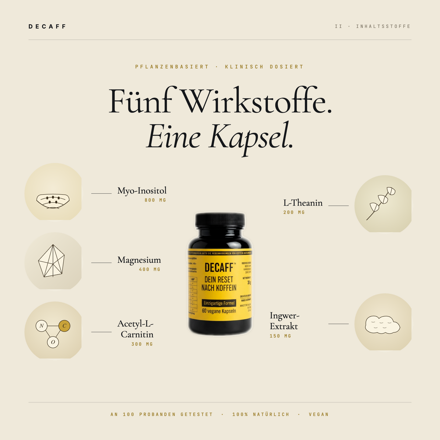 DECAFF - Erholung nach Kaffee & Energy Drinks